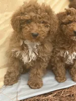 processed/91772236-e4eb-4f57-b0b0-2cced151a6ba/listing/735b34b3-baa0-4e0a-bed4-d0a3948df942/3fe8bf73-2c68-420e-b819-bf7b4e8f5510