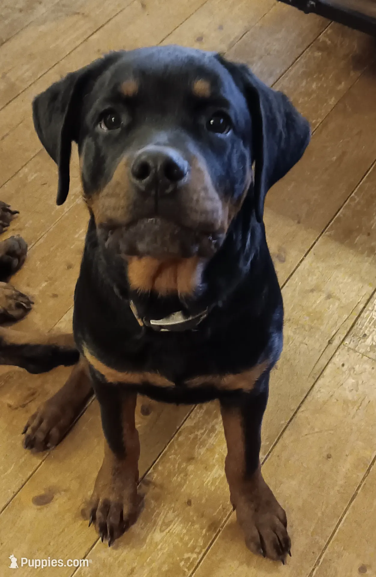 processed/917b00f7-f598-4c82-994d-0f2b86fa6f64/listing/2ed956a9-404e-43ad-be06-367257b72b47/cbd5ac80-36ca-47dc-9af4-f7bace8ee611