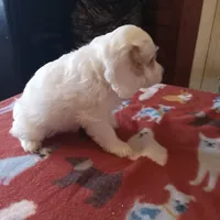 processed/91869d08-3b4f-4523-a910-ca0a46b38eec/listing/73d8d957-32b2-429a-bcd0-70a272c4b45a/c7f92c52-308a-4edb-b8bf-588edbe3e15b