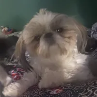 processed/918a9427-086e-4eb7-8d82-90c4ab34b859/facility/3c3d6eb3-7803-45c7-8731-7dbfa02d9201