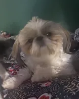 processed/918a9427-086e-4eb7-8d82-90c4ab34b859/facility/3c3d6eb3-7803-45c7-8731-7dbfa02d9201