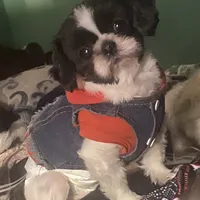 processed/918a9427-086e-4eb7-8d82-90c4ab34b859/facility/404b1064-18a2-47a2-8497-78b264df8443