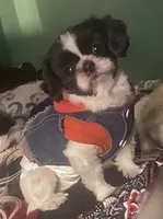 processed/918a9427-086e-4eb7-8d82-90c4ab34b859/facility/404b1064-18a2-47a2-8497-78b264df8443