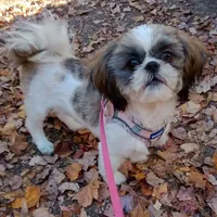 processed/918a9427-086e-4eb7-8d82-90c4ab34b859/facility/9761c089-2baf-45c1-b20e-65c96588df97