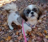 processed/918a9427-086e-4eb7-8d82-90c4ab34b859/facility/9761c089-2baf-45c1-b20e-65c96588df97