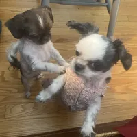 processed/918a9427-086e-4eb7-8d82-90c4ab34b859/facility/9b15023c-c43f-4d21-962d-23a47aab73cc