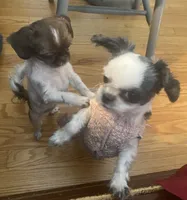 processed/918a9427-086e-4eb7-8d82-90c4ab34b859/facility/9b15023c-c43f-4d21-962d-23a47aab73cc