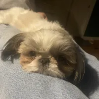 processed/918a9427-086e-4eb7-8d82-90c4ab34b859/facility/c309db79-45e7-4c49-bb49-be9f0170a630