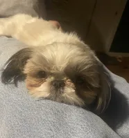 processed/918a9427-086e-4eb7-8d82-90c4ab34b859/facility/c309db79-45e7-4c49-bb49-be9f0170a630