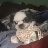 processed/918a9427-086e-4eb7-8d82-90c4ab34b859/facility/c48a6011-4684-4ea0-a190-372bb249840d