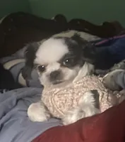 processed/918a9427-086e-4eb7-8d82-90c4ab34b859/facility/c48a6011-4684-4ea0-a190-372bb249840d