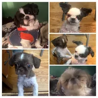 processed/918a9427-086e-4eb7-8d82-90c4ab34b859/facility/e5565500-2e70-449f-b8e8-6a8757af2be5