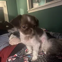 processed/918a9427-086e-4eb7-8d82-90c4ab34b859/facility/e7042624-69cc-4cca-b530-6ff7b4b487be