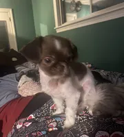 processed/918a9427-086e-4eb7-8d82-90c4ab34b859/facility/e7042624-69cc-4cca-b530-6ff7b4b487be