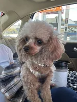 processed/918a9427-086e-4eb7-8d82-90c4ab34b859/listing/94efabc9-cc07-4cb3-92bf-b06e88fdf785/1f71471b-730f-47c7-9452-575e6898a6ec