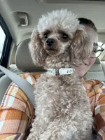 processed/918a9427-086e-4eb7-8d82-90c4ab34b859/listing/94efabc9-cc07-4cb3-92bf-b06e88fdf785/24d15240-97cc-48bb-965a-8cbd11fb690e