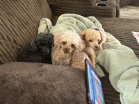 processed/918a9427-086e-4eb7-8d82-90c4ab34b859/listing/94efabc9-cc07-4cb3-92bf-b06e88fdf785/70d10553-b451-41bd-974b-d65ad44f33ef