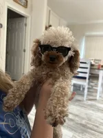 processed/918a9427-086e-4eb7-8d82-90c4ab34b859/listing/94efabc9-cc07-4cb3-92bf-b06e88fdf785/cbe364ee-9ebb-4d68-80b3-be14c64aa996