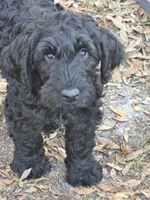 processed/918c3c42-0c25-4552-98e9-7ac30674b99b/listing/6bce5f22-c6f3-4a29-a2b9-04548120ade8/e18410fe-ea5c-4bf9-9e3d-3391fb1d28bd