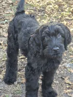 processed/918c3c42-0c25-4552-98e9-7ac30674b99b/listing/6bce5f22-c6f3-4a29-a2b9-04548120ade8/f7470068-a905-4a1b-bbcb-04acd3b26e65