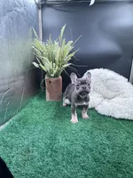 processed/918f1a78-4c4d-4bcc-9f5a-9c1b6dea88b2/listing/904a18ca-4665-41c0-80d1-b761b8fbb438/32b78a9c-eab8-4ce9-b15c-18970145960e