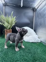 processed/918f1a78-4c4d-4bcc-9f5a-9c1b6dea88b2/listing/904a18ca-4665-41c0-80d1-b761b8fbb438/66cb3559-eedb-468f-a97f-46659a507f91