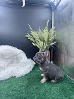 processed/918f1a78-4c4d-4bcc-9f5a-9c1b6dea88b2/listing/904a18ca-4665-41c0-80d1-b761b8fbb438/7ffbe817-b84e-4749-99fe-8c38a3273144