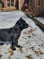 processed/91903d8d-1049-43f6-b2c7-2ed29962df04/facility/05e5d5d5-560e-448d-b713-cdce32b57e23