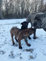 processed/91903d8d-1049-43f6-b2c7-2ed29962df04/facility/6a7dc2a6-a043-42be-b71e-a610ba8ef65a