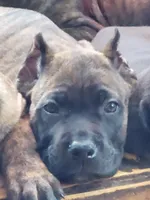 processed/91903d8d-1049-43f6-b2c7-2ed29962df04/facility/9f7003a9-9bfc-4132-aea3-c63d98754a92