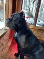 processed/91903d8d-1049-43f6-b2c7-2ed29962df04/facility/b90f9132-5db9-42f0-b72b-261ce1cb093b