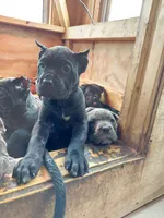 processed/91903d8d-1049-43f6-b2c7-2ed29962df04/facility/f0302bea-f5a8-40ca-ac37-17bf7d1fd93d