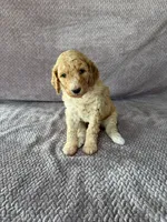 processed/9190661f-d432-45c7-948b-b3e747c876c6/listing/a31bdb20-a7a2-4430-b552-a193048bf070/38eb767e-d2ef-4744-989a-19cafd6a25f9