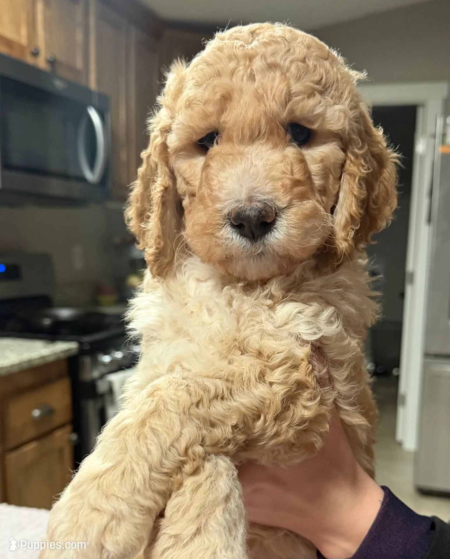 processed/9190661f-d432-45c7-948b-b3e747c876c6/listing/a31bdb20-a7a2-4430-b552-a193048bf070/4c262c68-7864-4866-9fbe-3b91227b99c7