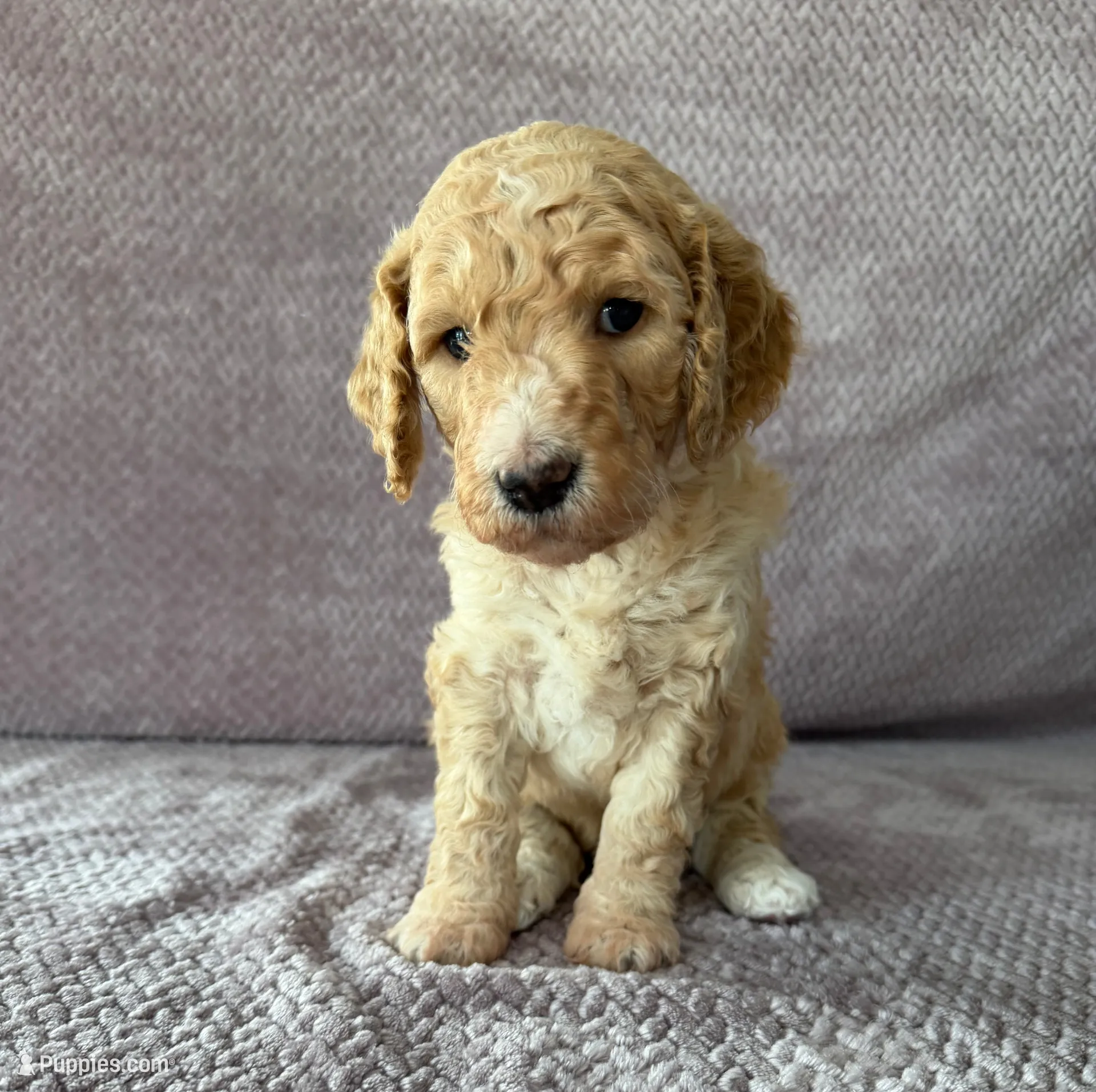 processed/9190661f-d432-45c7-948b-b3e747c876c6/listing/a31bdb20-a7a2-4430-b552-a193048bf070/5db940a4-c318-40e5-818d-a4eab669af3c