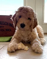 processed/9190661f-d432-45c7-948b-b3e747c876c6/listing/ad427144-1891-4541-a3a8-e29731db8e39/3ad586dd-6c26-41df-a38b-c0a38cee7ef2