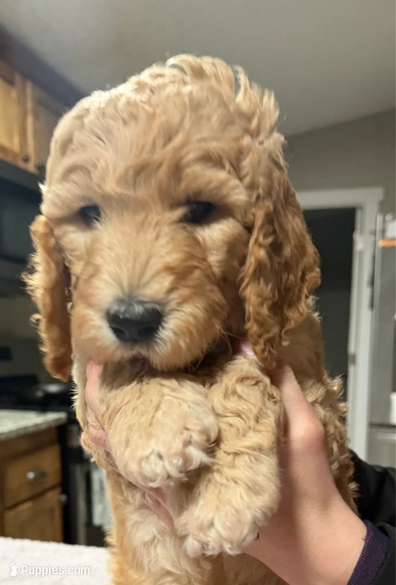 processed/9190661f-d432-45c7-948b-b3e747c876c6/listing/ad427144-1891-4541-a3a8-e29731db8e39/3e1dbae0-e898-47c5-8b6d-dc6c6e4f19d5