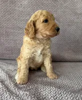 processed/9190661f-d432-45c7-948b-b3e747c876c6/listing/ad427144-1891-4541-a3a8-e29731db8e39/4e25db0d-9685-4e52-bc84-a6b409a1f805