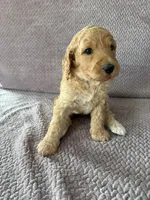 processed/9190661f-d432-45c7-948b-b3e747c876c6/listing/ad427144-1891-4541-a3a8-e29731db8e39/5790e700-e71a-4721-a5ca-1247b42324cb