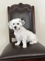 processed/919392c9-c72e-41f7-89a8-51efc23d69fb/listing/118e513f-773a-4cb4-b9fe-c77d44b52a62/1f316b27-1936-4af2-a10f-8868c976207d