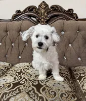 processed/919392c9-c72e-41f7-89a8-51efc23d69fb/listing/118e513f-773a-4cb4-b9fe-c77d44b52a62/65fb64b8-58a5-4eda-8837-4615464fed19