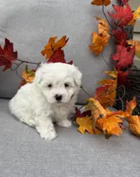 processed/919392c9-c72e-41f7-89a8-51efc23d69fb/listing/118e513f-773a-4cb4-b9fe-c77d44b52a62/787f7874-93f7-4431-9fb0-5d9cefe85777