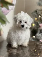 processed/919392c9-c72e-41f7-89a8-51efc23d69fb/listing/118e513f-773a-4cb4-b9fe-c77d44b52a62/a5019189-cc3d-4d1f-b746-f4b1dd27b60f