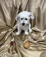 processed/919392c9-c72e-41f7-89a8-51efc23d69fb/listing/118e513f-773a-4cb4-b9fe-c77d44b52a62/c227a3f4-e5c7-4b40-a117-1c56436d2bb5