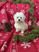 processed/919392c9-c72e-41f7-89a8-51efc23d69fb/listing/118e513f-773a-4cb4-b9fe-c77d44b52a62/f7e29e2d-a504-41f6-abea-5f5d255797ef