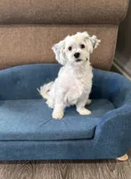 processed/919392c9-c72e-41f7-89a8-51efc23d69fb/listing/118e513f-773a-4cb4-b9fe-c77d44b52a62/ff2a3b54-d887-4676-bd33-d7388c3432bd