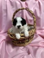 processed/919392c9-c72e-41f7-89a8-51efc23d69fb/listing/9d52c6bd-9a97-42ef-9625-8cef51ae58f3/ca327f13-d5ba-4651-b432-b0d2f1417841