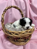 processed/919392c9-c72e-41f7-89a8-51efc23d69fb/listing/9d52c6bd-9a97-42ef-9625-8cef51ae58f3/cd61e351-bbb1-4f57-86ec-729c6f53b2be