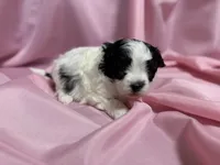 processed/919392c9-c72e-41f7-89a8-51efc23d69fb/listing/9d52c6bd-9a97-42ef-9625-8cef51ae58f3/ea3abef3-33bd-4e2f-b17e-1ace8317150d