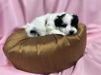 processed/919392c9-c72e-41f7-89a8-51efc23d69fb/listing/b9d77fb0-c8dd-468b-ae64-a9cccab4498d/16eaadc2-8842-4057-b9fb-fc920b072060